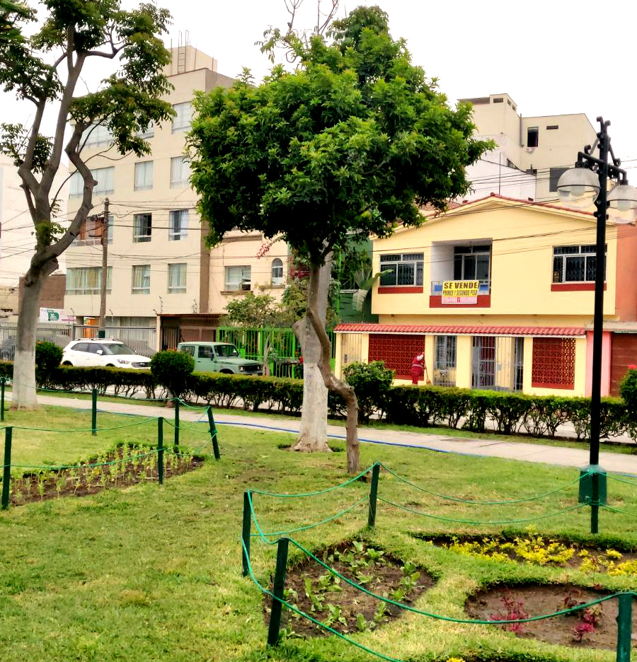 Vista principal del dúplex frente al parque